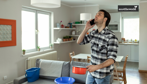 Energy-Efficient Homes