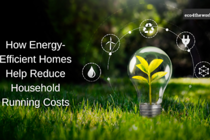 Energy-Efficient Homes